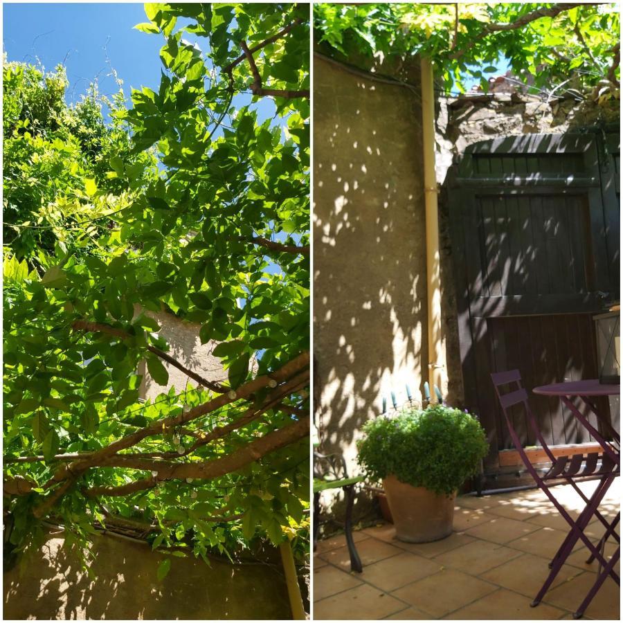 Le Chateau Camps-sur-l'Agly 외부 사진