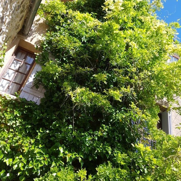 Le Chateau Camps-sur-l'Agly 외부 사진
